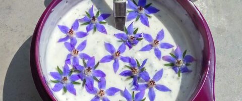 a purple bowl of cream with purple flowers floating on top and a green handled spoon