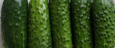 cucumbers, vegetables, food-2240307.jpg