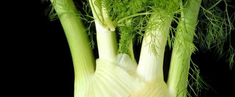 fennel, vegetable, healthy-3650486.jpg