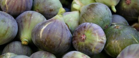figs, food, fresh-1122197.jpg