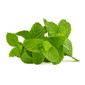 mint, mint leaf, green, peppermint, healthy, drink, health, healing, leaves, soda, herbs, aroma, taste, tea, refreshment, fresh, leaf, nature, mint, mint, mint, mint, mint, peppermint