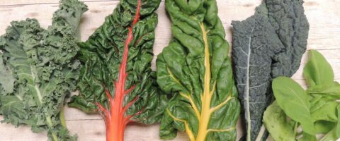 Laid out in a row on a wooden background, left to right: green curly kale, red-ribbed swiss chard, yellow-ribbed swiss chard, tuscan kale, and arugula
