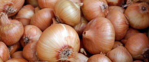 onions, vegetables, white onions-1397037.jpg