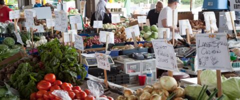 Explore a bustling farmers market in North Carolina with diverse produce and local vendors.