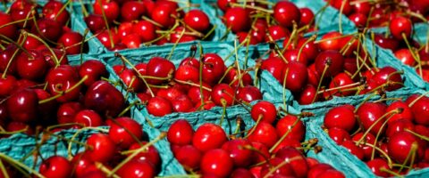 Vibrant red cherries in green cartons at a sunny farmers market. Fresh and ripe.