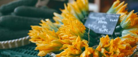 Vibrant zucchini flowers displayed at a market for sale. Ideal for recipes and nutrition.